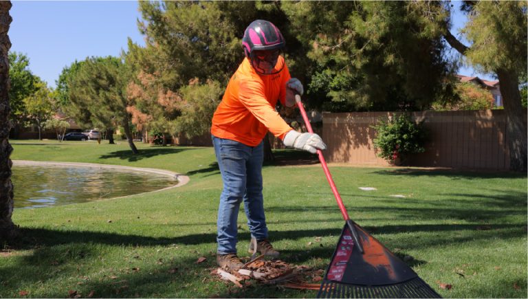 Commercial Tree Trimming